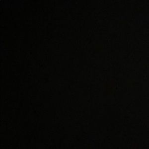 Meet your Posher, Niki